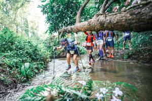 BIB: 
                            <button type="button" onclick="openModal(25474846)" class="btn btn-primary btn-sm float-right btn-popup" data-toggle="modal" data-target=".modal-high-quality">
                        <i class="fas fa-shopping-cart"></i> Add to Cart
                    </button>
                                            <button type="button" onclick="isThisMe(25474846, true)" class="btn btn-success btn-sm float-right btn-popup btn-isme hidden" data-toggle="tooltip" data-placement="bottom" title="นี่คือรูปของคุณใช่ไหม คลิกที่นี่เพื่อเอาเข้าอัลบั้ม">
                        <i class="fas fa-plus"></i> Add to album
                    </button>
                    <button type="button" onclick="isThisMe(25474846, false)" class="btn btn-warning btn-sm float-right btn-popup btn-isnotme hidden">
                        <i class="fas fa-ban"></i> Remove from album
                    </button>